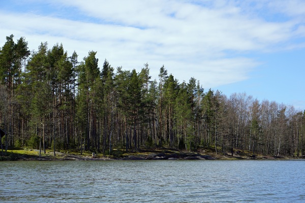 view from the sauna S.jpg